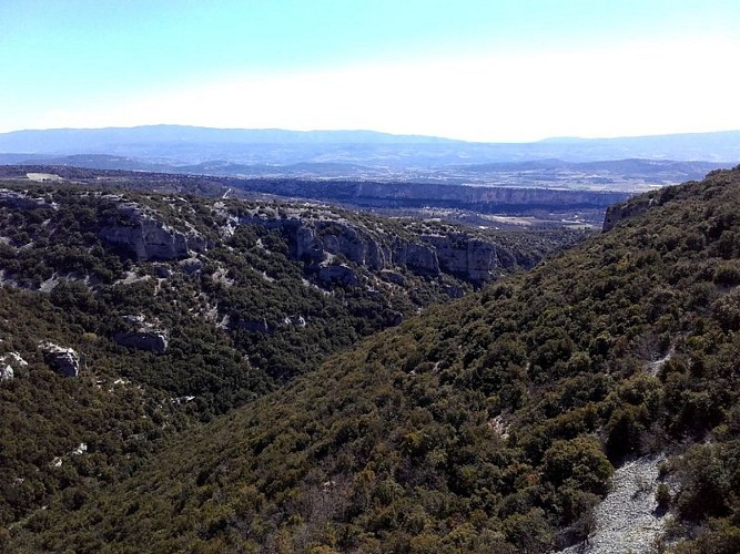 Falaise de la Madeleine depuis Le Castellas