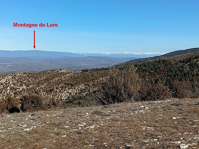 Vue vers le nord-est