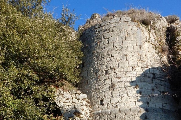 Ruines de la tour ronde