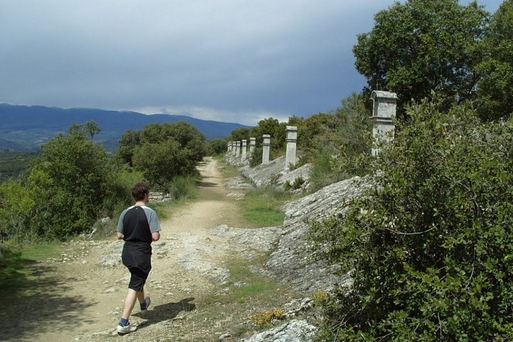 Promenade des Évêques
