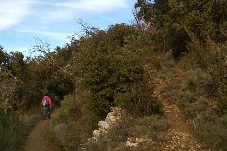 Ubac du balcon de Lurs