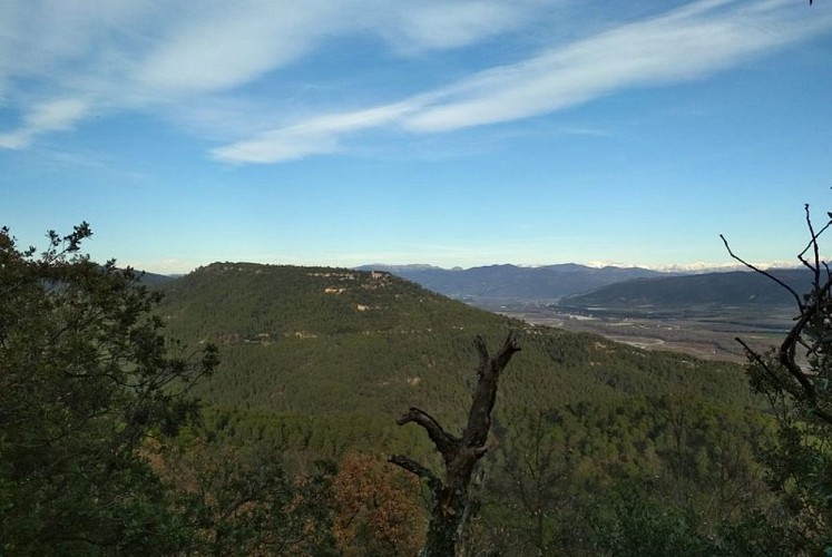 Bois de Lurs et Prieuré de Ganagobie