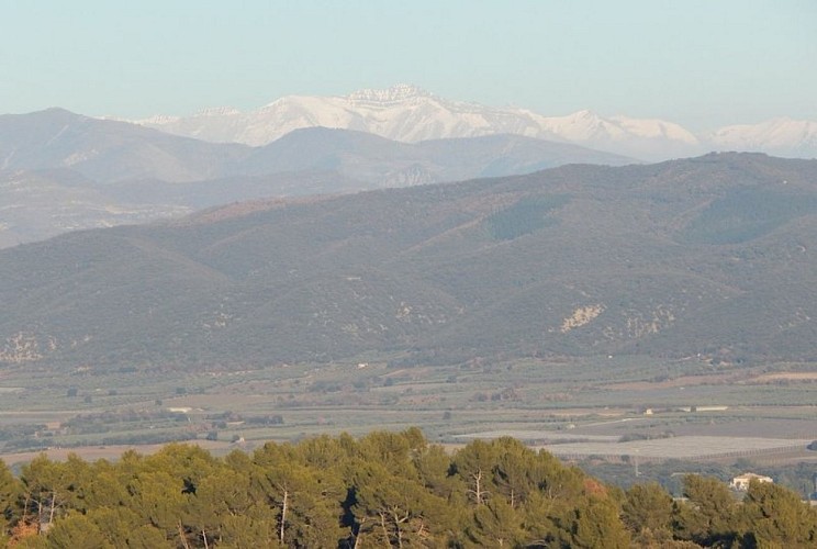 Vue sur l'Esrop depuis Lurs