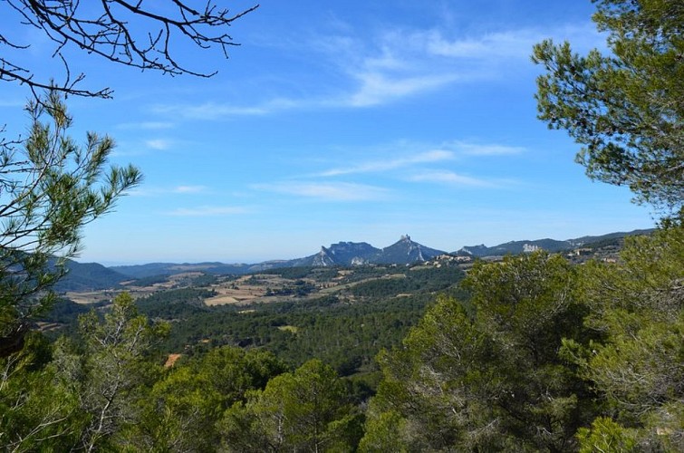 Dentelles de Montmirail