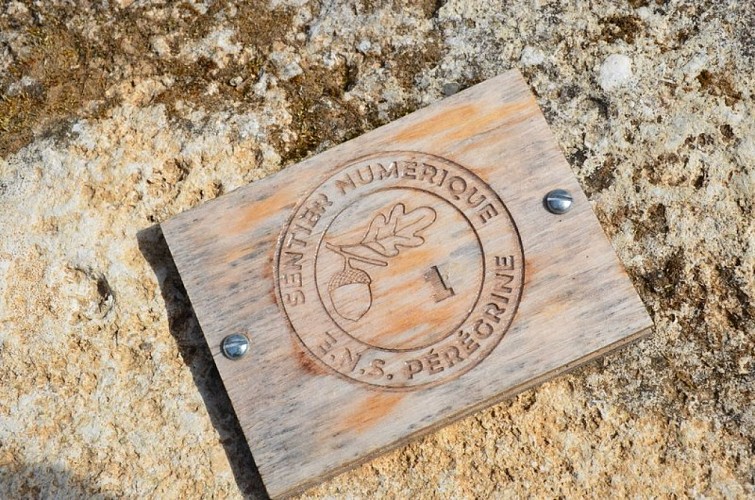 Sentier numérique ethnobotanique