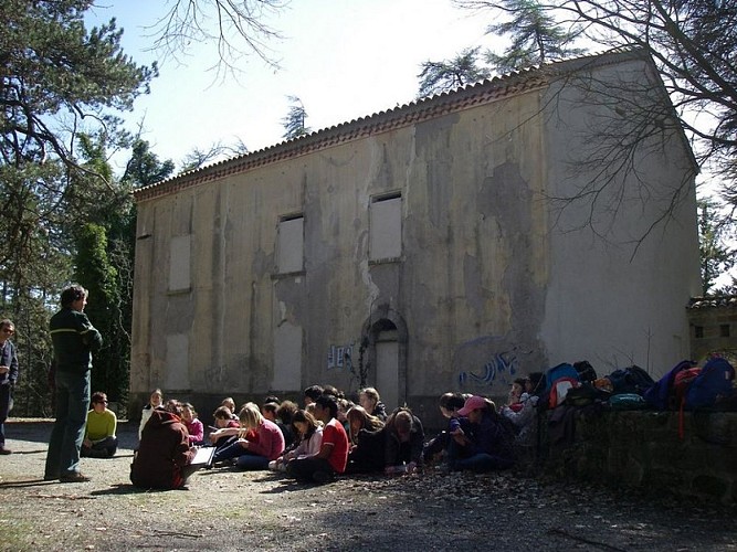 Des scolaires devant la maternité à chauves-souris