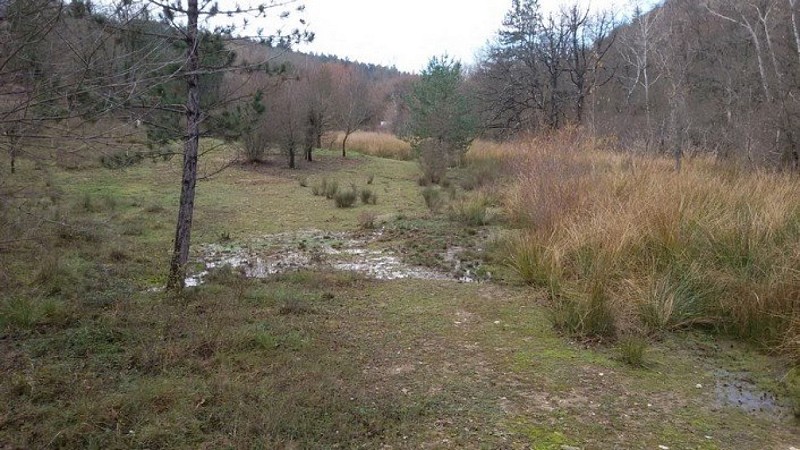 La zone humide de l'Ausselet