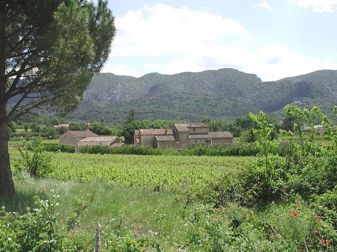 Préservation du patrimoine bâti