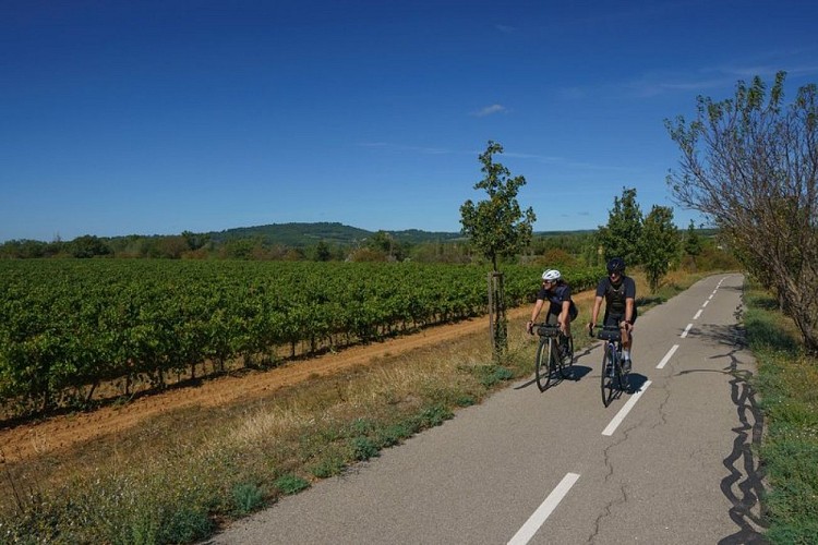 Véloroute du Calavon