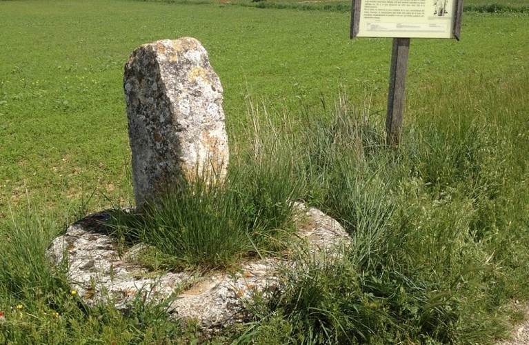 Borne de Tavernoure près de Mane