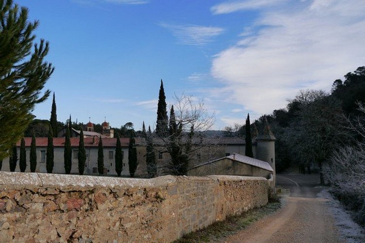 La chartreuse de Montrieux-le-Jeune