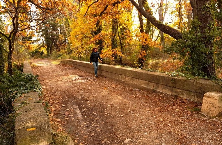 Franchissement du Vieux canal