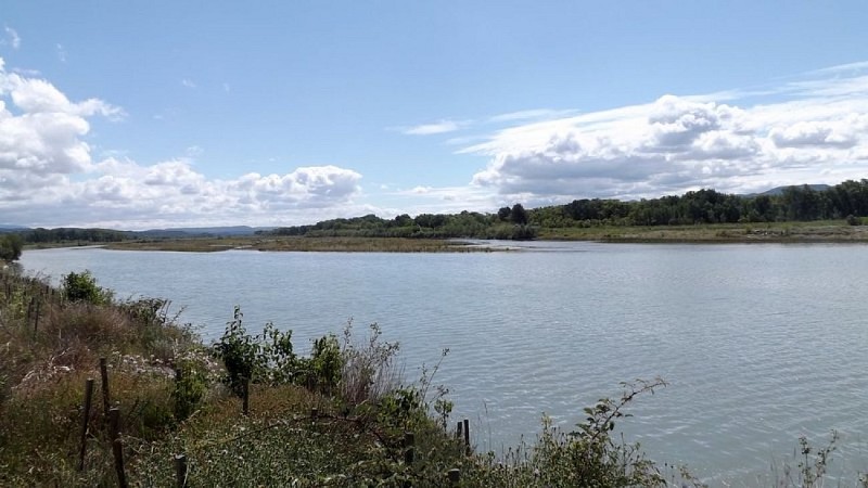 Ripisylve Durancienne