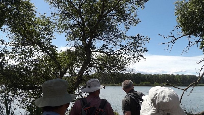 Vue sur la ripisylve