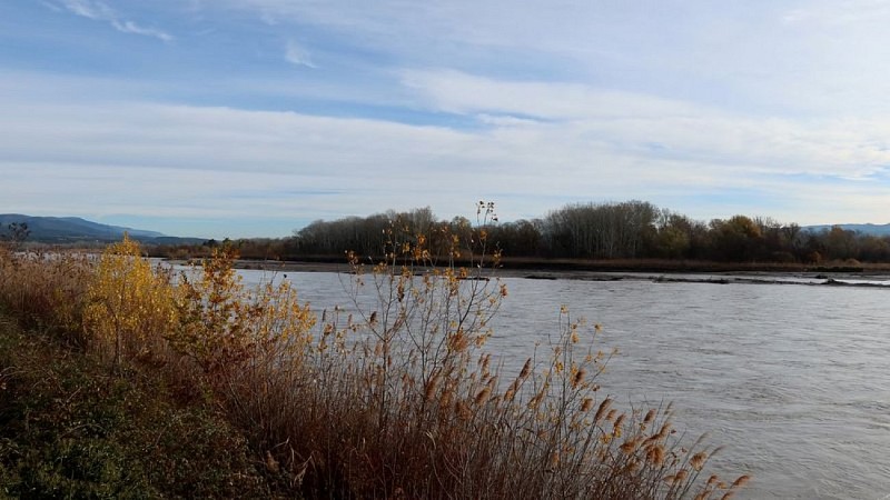 Ripisylve Durancienne en hiver