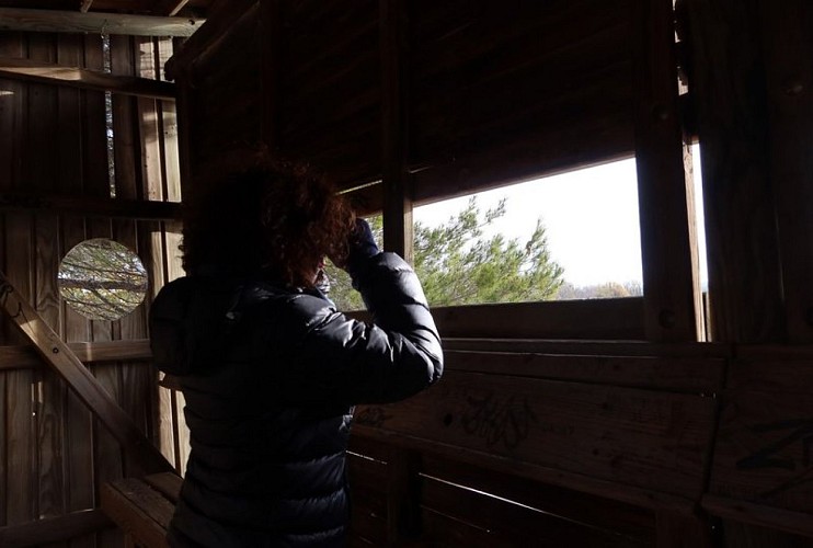 Observation discrète