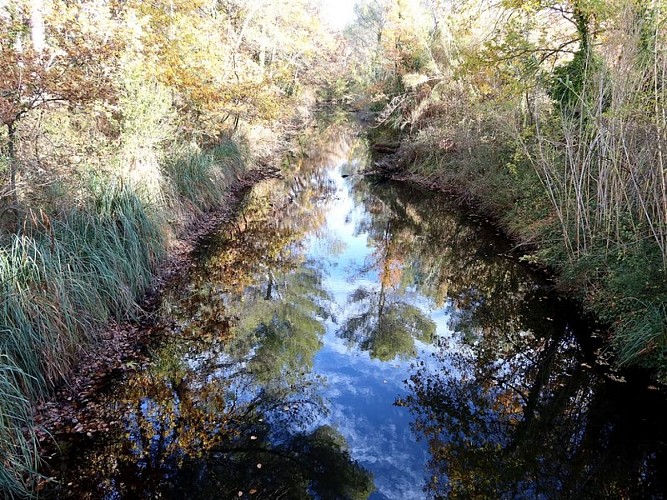 Le Vieux canal