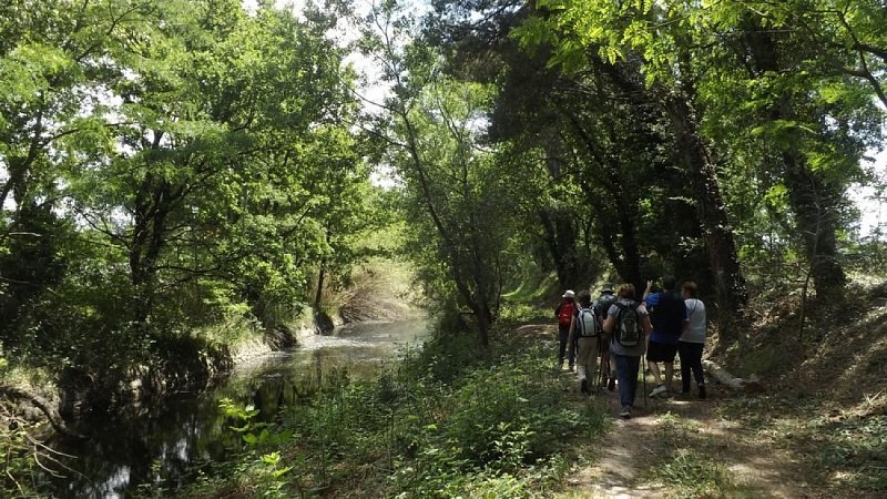 Le long du Vieux canal