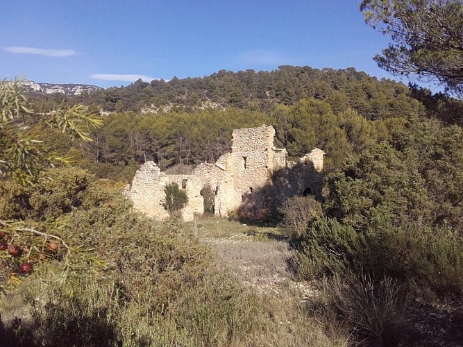 Ruine de la Crau des Plaines