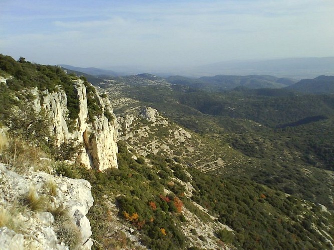 Falaises et forêt domaniale du Petit Luberon