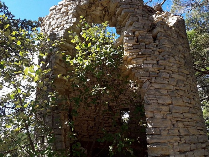 Ruines du moulin des Arnoux