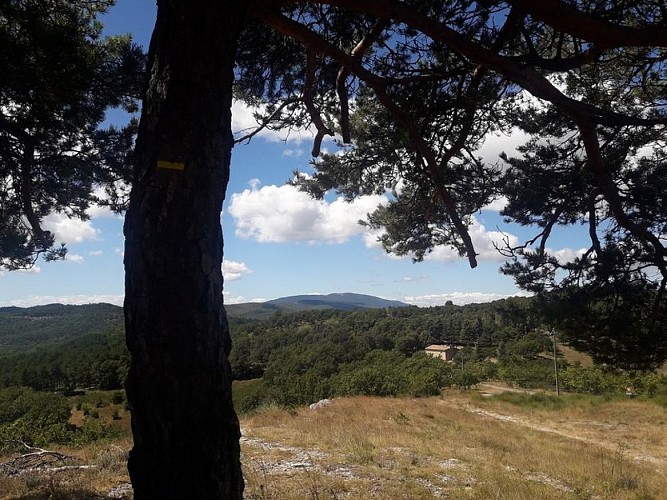 Vue sur le Grand Luberon