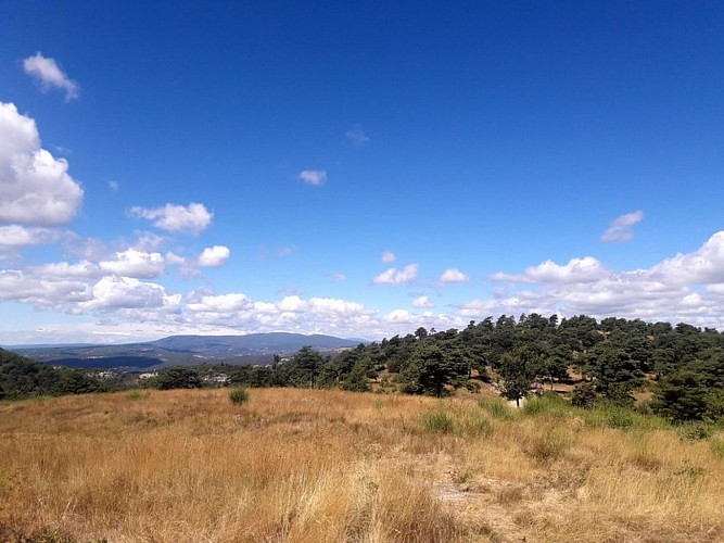 Vue sur la Montagne de Lure