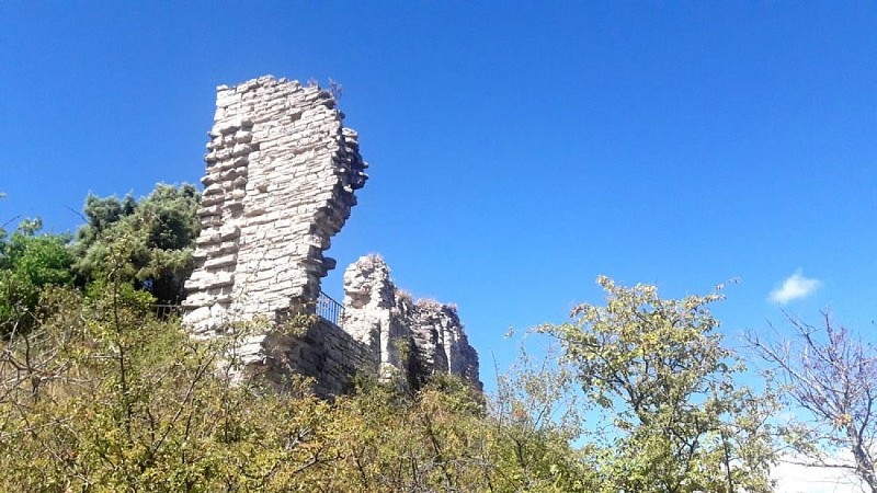 Ruines du château de Montfuron