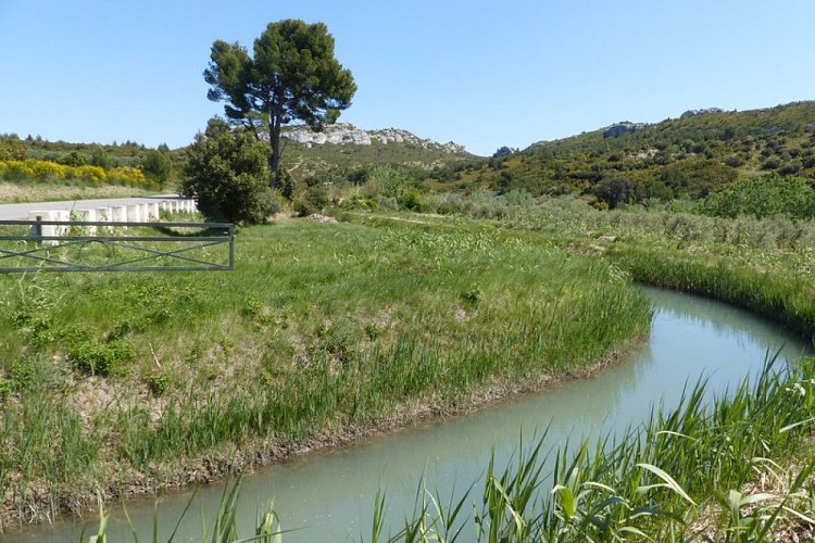 Canal de la vallée des Baux