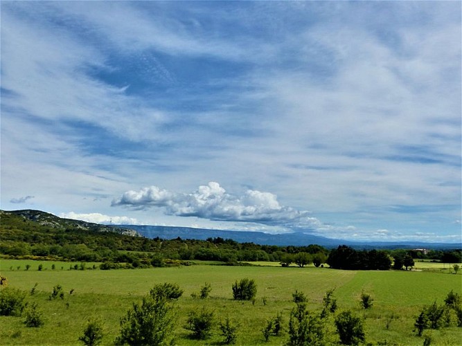 La plaine de Roquemartine