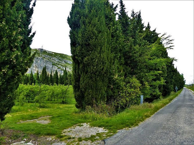 Plantation de fruitiers entourée de haies