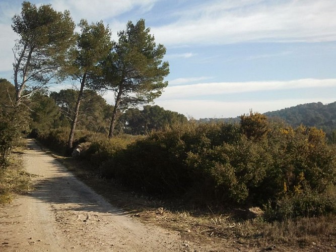 Ancien chemin de fer Salon-Arles