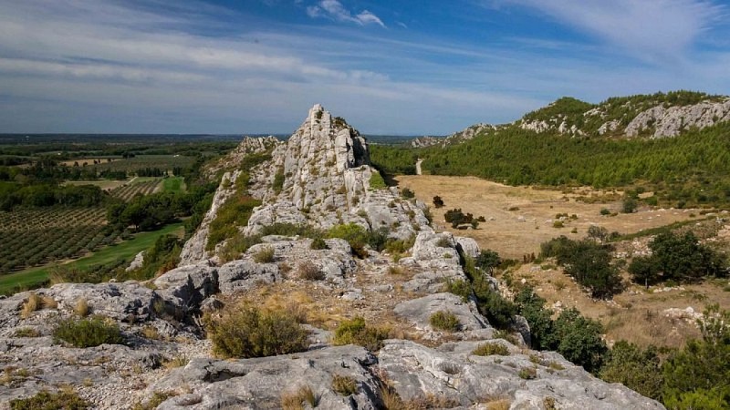 Roche feuilletée des Caisses de Jean-Jean