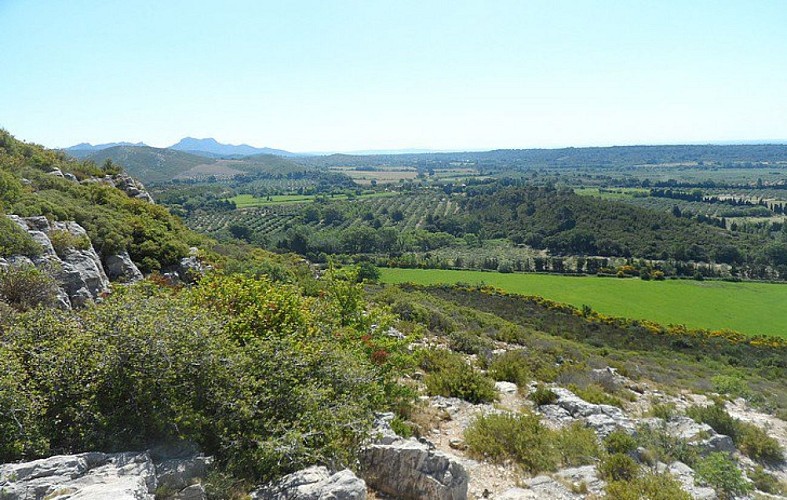 Vue sur la plaine et les Opies