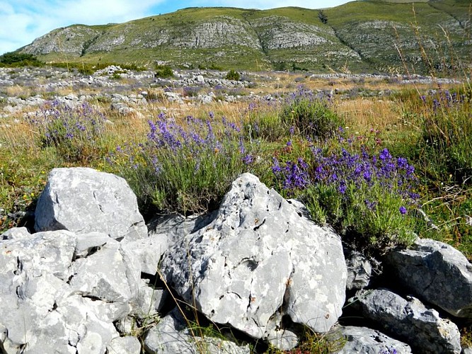 Montagnes désertiques