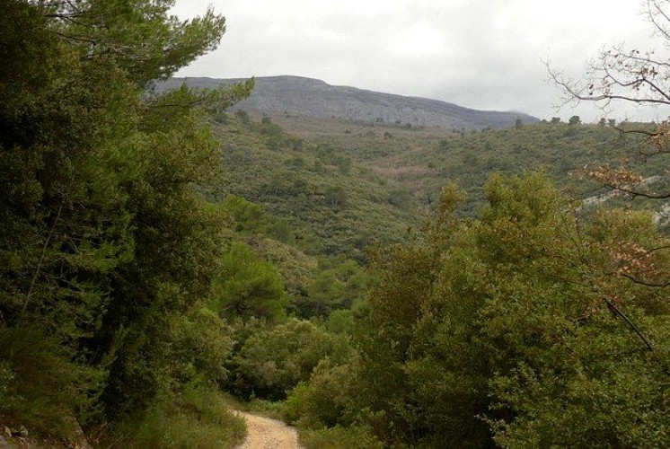 L'ancien chemin de la glace