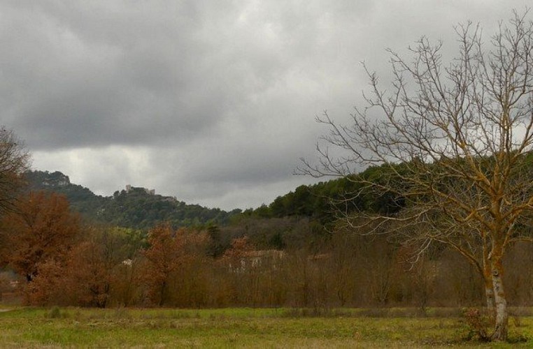 Vue sur le castrum du Vieux Nans