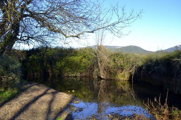 L'Issole à son passage par Néoules