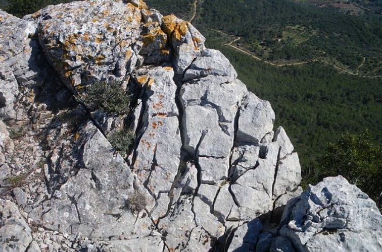 Lapiaz de diaclases sur la barre de Cuers