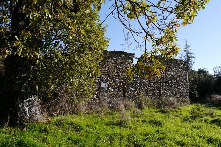 Ruines de la Verrerie