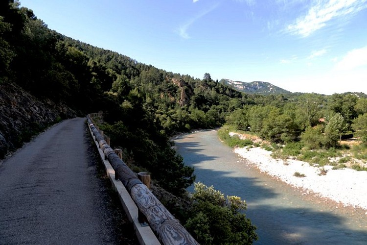 Exemple de ripisylves au bord de l'Eygues