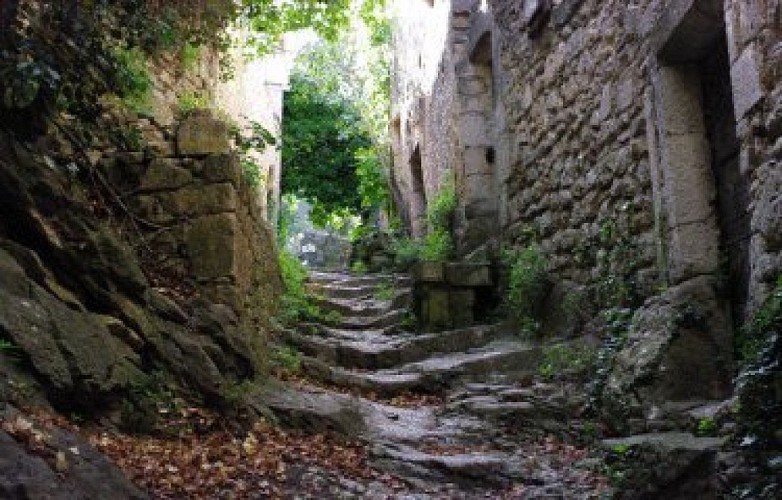Rues caladées d'Oppède-le-Vieux