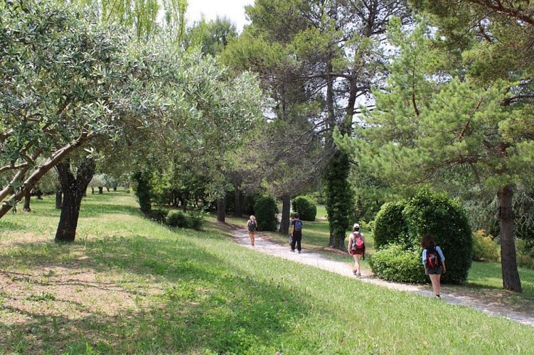 Jardin de Sainte-Cécile