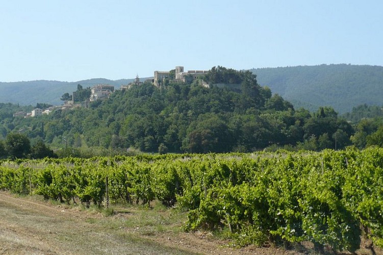 Ménerbes depuis la plaine