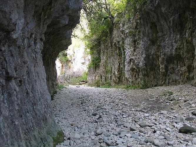 Fond des gorges d'Oppedette