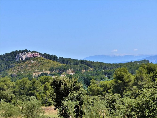 Vue sur le Roque Faucounière et le Mont Ventoux