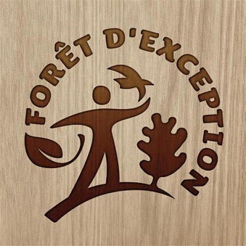 Forêt d'exception