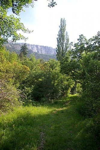 image du object