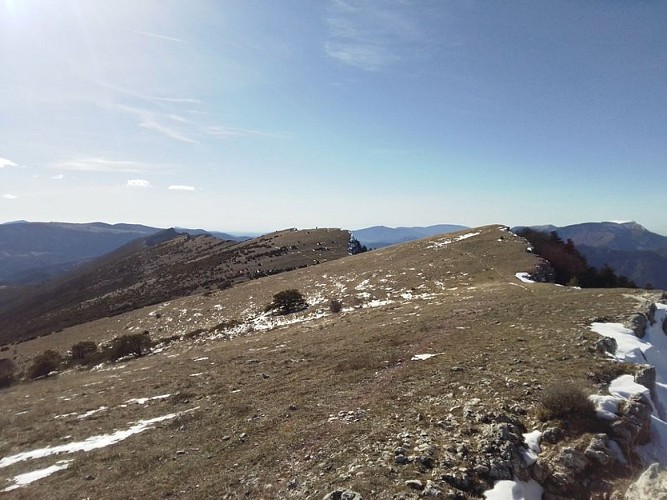Passière de la Sapie, lieu de pâturage