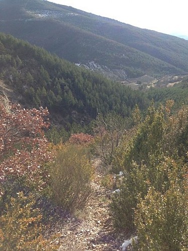 Descente vers le hameau de Raton